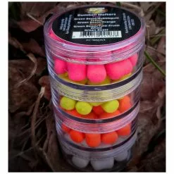 DT Baits Cold Water Green Beast Dumbell Wafters – Take 4