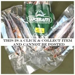 Lucebaits Mackerel – Small